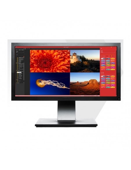 WallControl 10/VMS-1