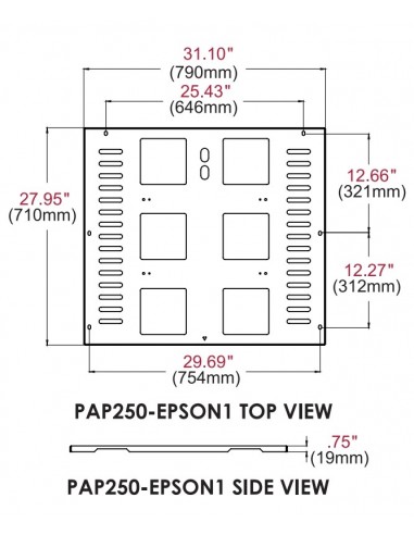 PAP250-EPSON1
