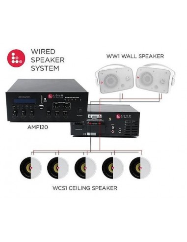 17001 - Amplifier AMPI20