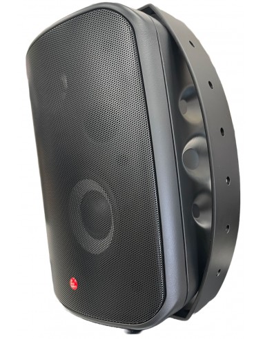 18002 - Diffusore Audio WWS1 Nero