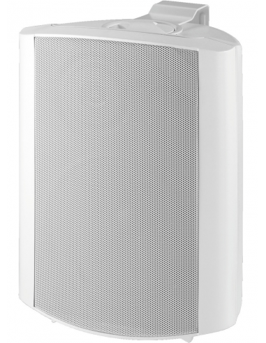 50011 - Diffusori Wireless WWS6...