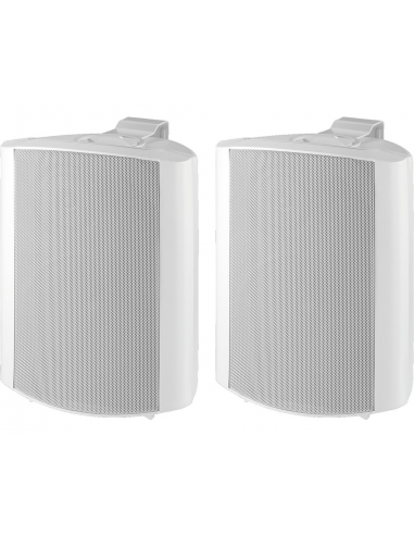 50011 - Diffusori Wireless WWS6...