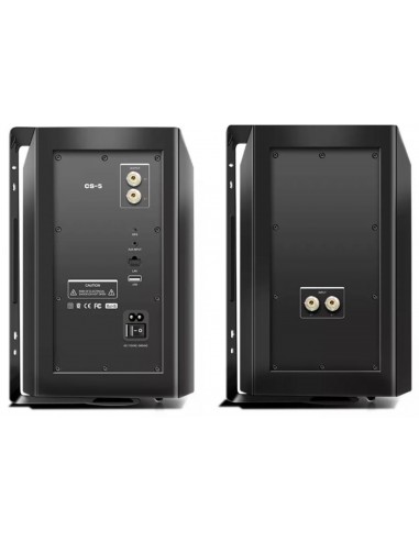 50012 - Diffusori Wireless WWS6...