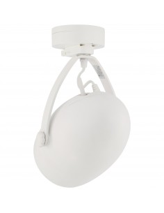 12003 - Diffusore Wireless... 2