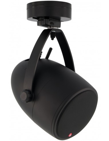 12004 - Diffusore Wireless Satellite...