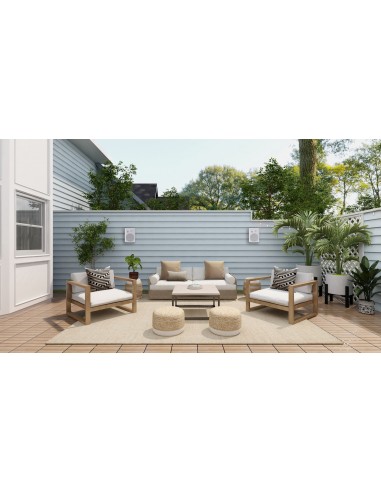 50012 - Diffusori Wireless WWS6...