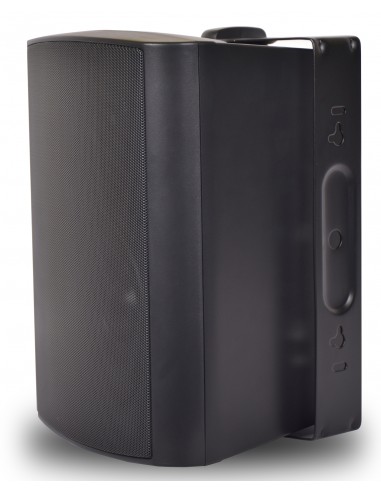 50012 - Diffusori Wireless WWS6...