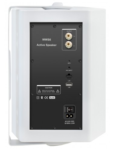 50011 - Diffusori Wireless WWS6...