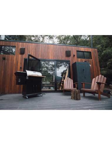 50011 - Diffusori Wireless WWS6...