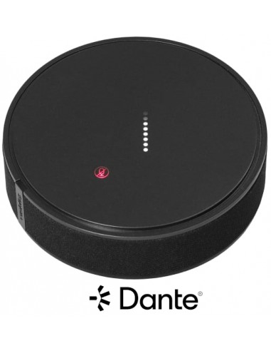 999-85300-000 - EasyIP TableMIC D...