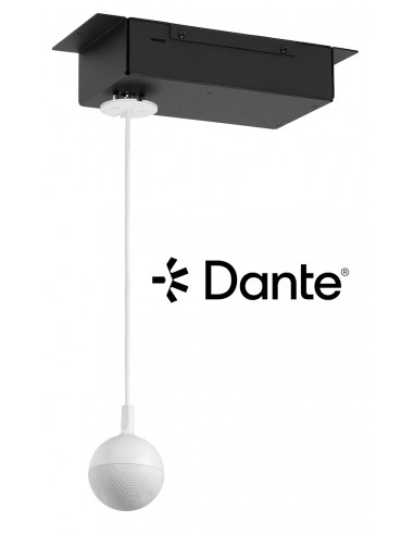 999-85810-000 - EasyIP CeilingMic...