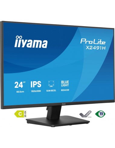 Prolite X2491H-B1