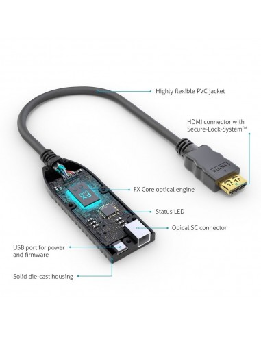 FX-P350
